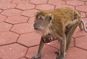 Пещеры Бату. Как добраться до интересного места?