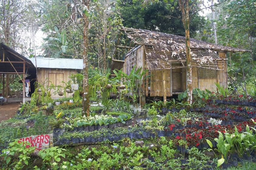 Домики местного населения ) Домики местного населения )