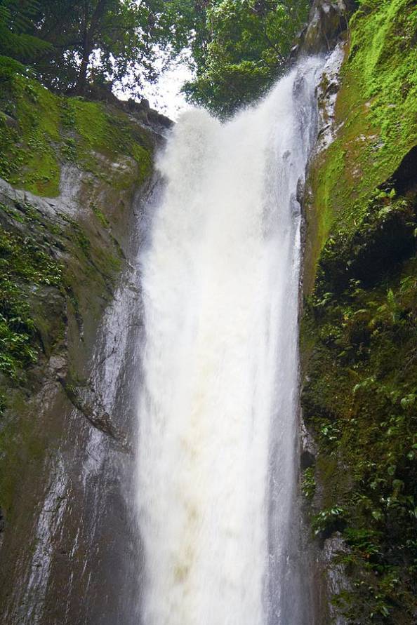 На фотке он не кажется крупным - на самом деле это не так На фотке он не кажется крупным - на самом деле это не так