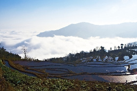 Рисовые террасы в провинции Юньнань Китай. Как добраться?