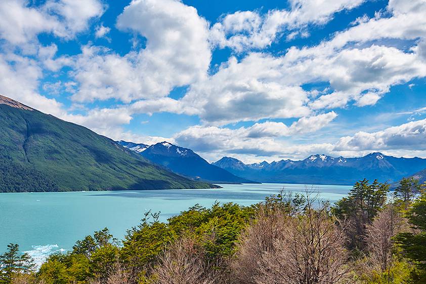Ледник Перито Морено, окрестности Эль Калафате
