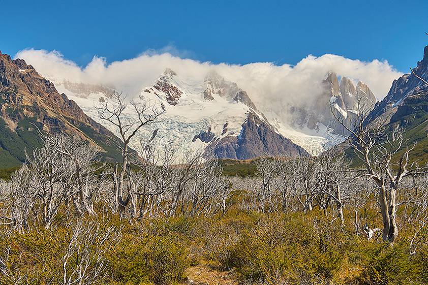 Окрестности Эль Чалтен и горы Фитц Рой