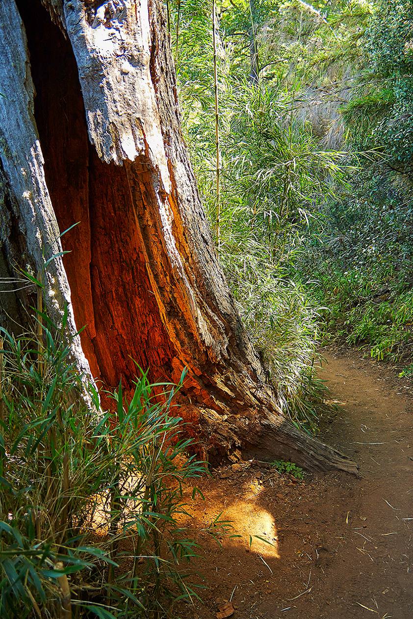 Трех дневный трекинг по Патагонии