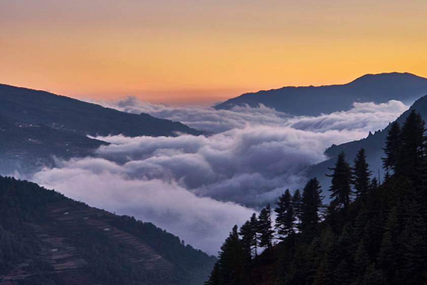 Туман стелится... Туман стелится...