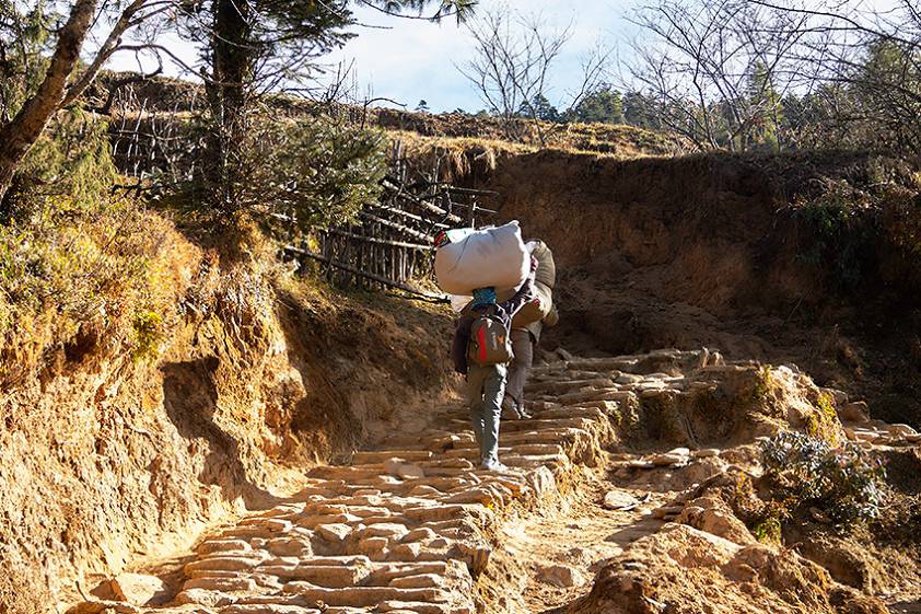 Его собратья Его собратья