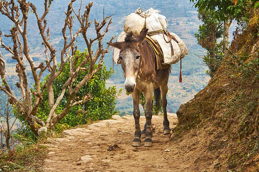 Мне почему то особенно эта фотография гравится ) Мне почему то особенно эта фотография гравится )