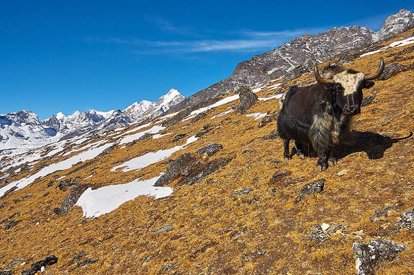Что посмотреть рядом с Катманду
