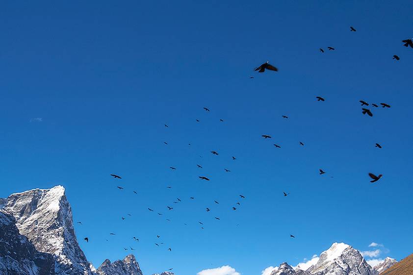 Что посмотреть рядом с Катманду