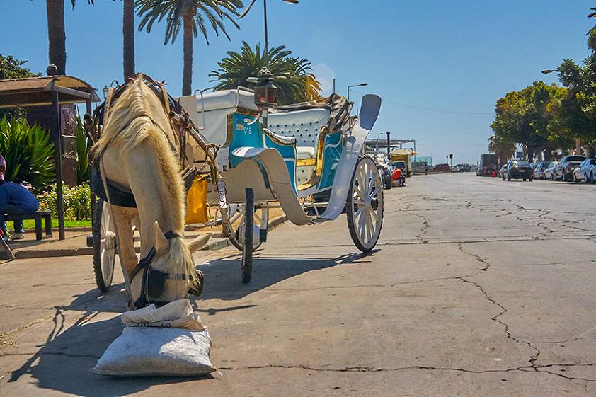 Вальпараисо, Чили
