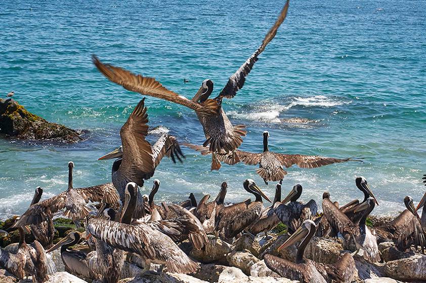 Вальпараисо, Чили