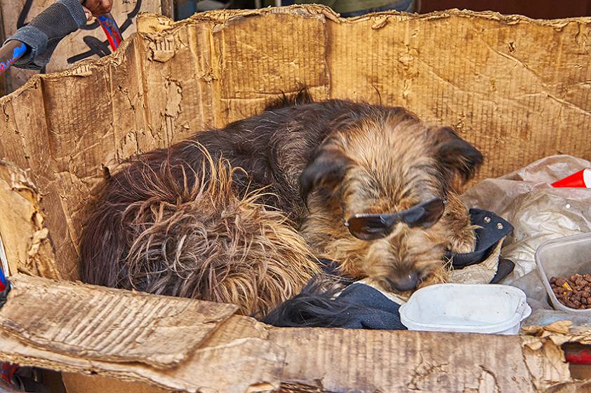 Люди на улицах города