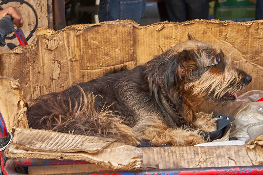 Люди на улицах города