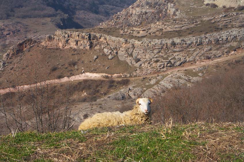 Республика Нагорный Карабах