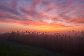 Абхазия, Адыгея и Крым. Фотографии юга России