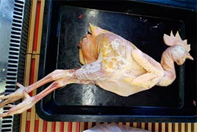 Сколько стоит жить в Китае? Подробный обзор цен