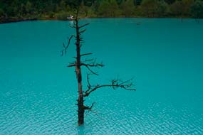 Что посмотреть в Лицзян? Маршрут на 2 дня