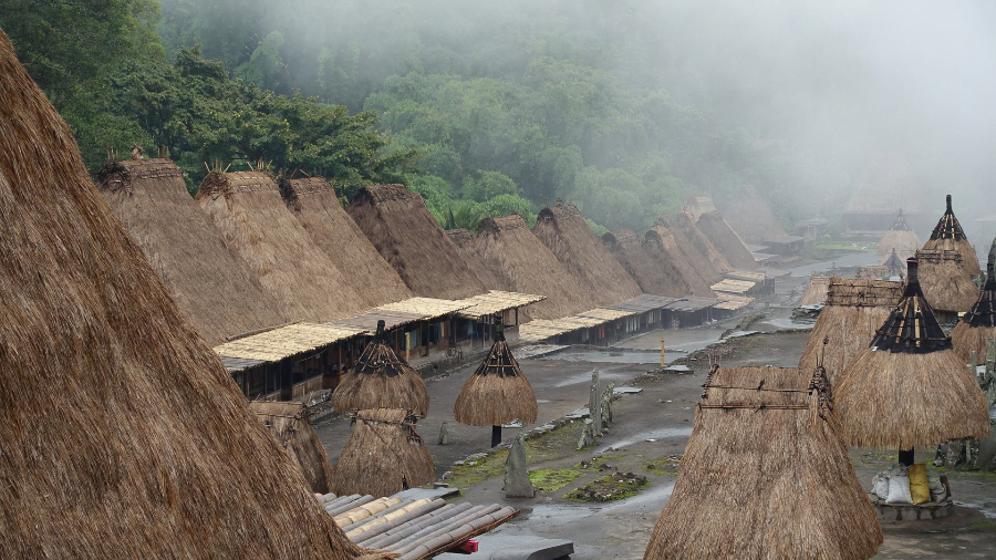 Баджава-Мони