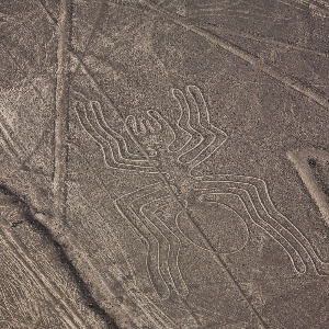 Полеты над линиями Наска