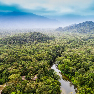 Перуанская Амазония