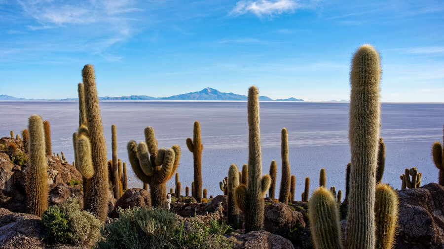 Солончак Уюни