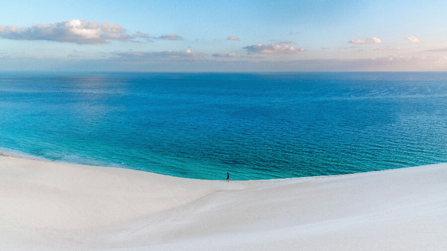 Морская прогулка, дельфины