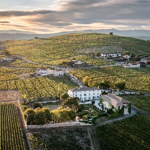 Винодельни 