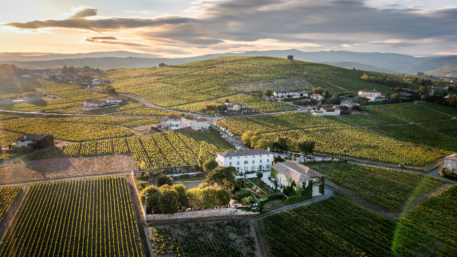 Винодельни