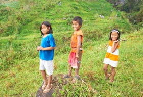 Остров Негрос. Как добраться до горы Канлаон?