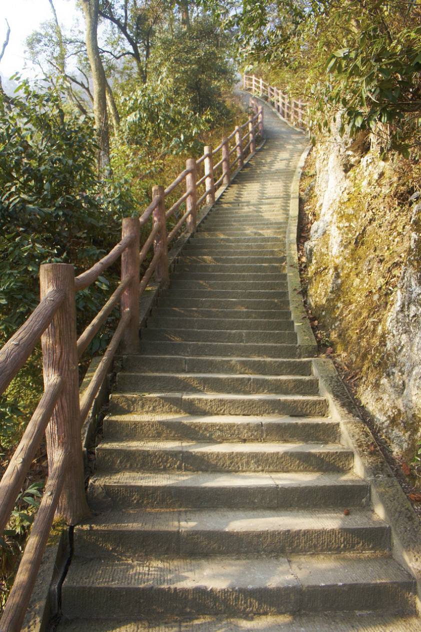 одна из многочисленных лестниц на горе
