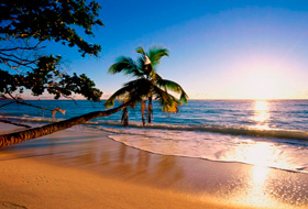 Куда поехать в конце марта? Ищем подходящее место