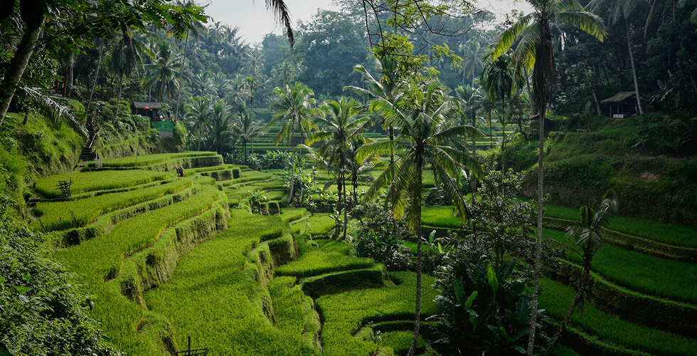 Самостоятельное путешествие по Индонезии: Бали, Ява, Флорес